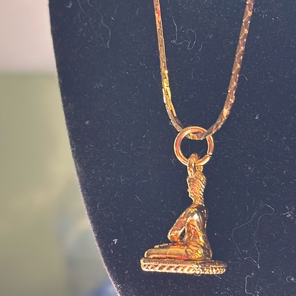 JOAN RIVERS 24” Pendant Necklace - Picture 2 of 4